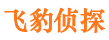 霞山市婚姻调查